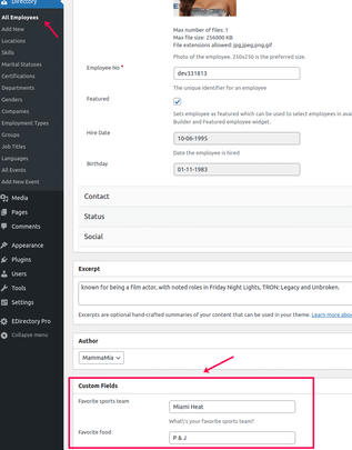 Users can enter information in custom fields either through WordPress dashboard entity editor or the frontend of your website.